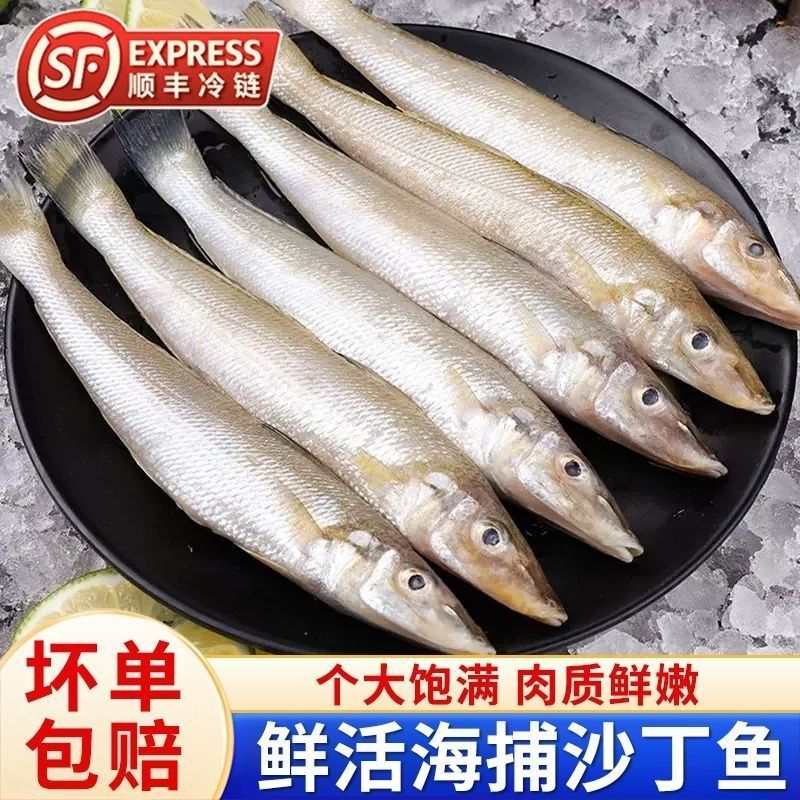 深海野生沙丁鱼海捕野生沙尖鱼沙追鱼新鲜冰鲜批发正宗海鱼锁鲜