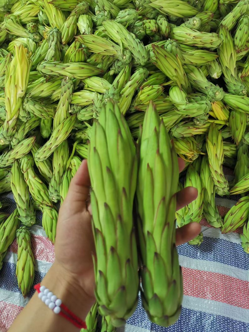 霸王花