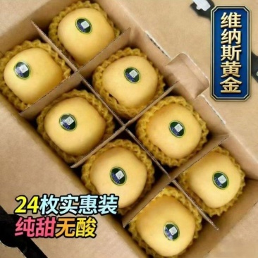 精品维纳斯黄金