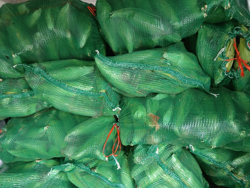 甜糯玉米大量上市口感好欢迎各位客商光临