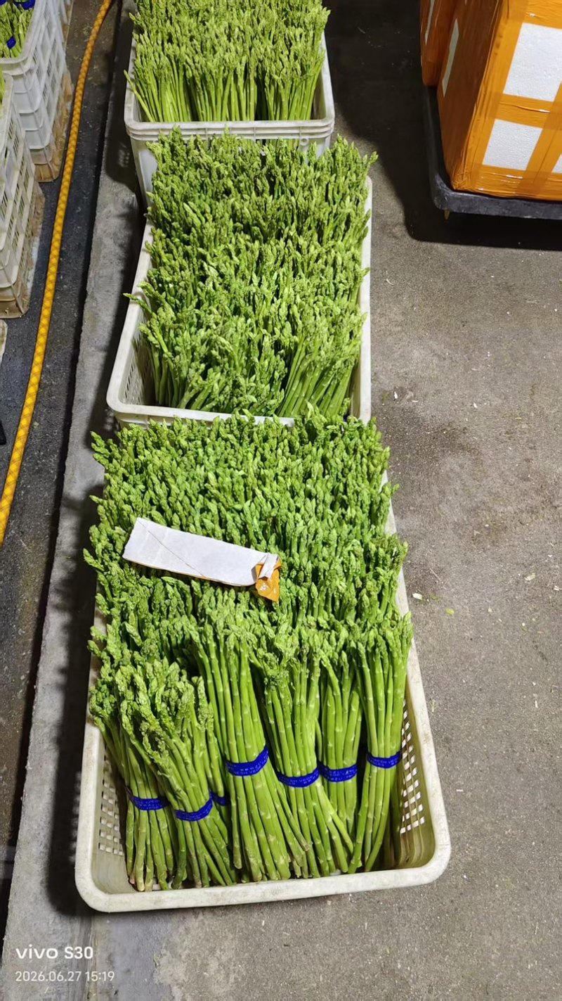 新鲜绿芦笋产地直供农家现采嫩笋脆嫩多汁