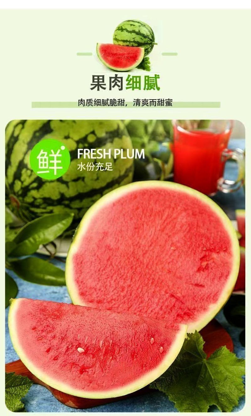 湖北老品种西瓜新鲜夏天水果现摘脆甜多汁鲜果整个石头瓜麒麟