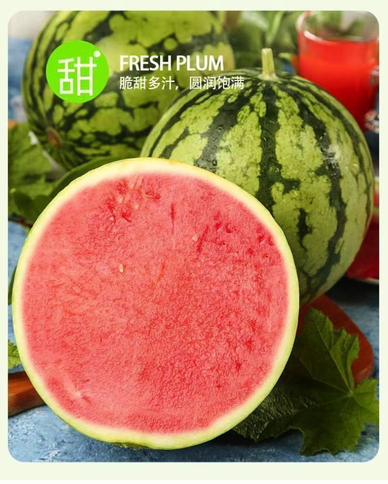 湖北老品种西瓜新鲜夏天水果现摘脆甜多汁鲜果整个石头瓜麒麟