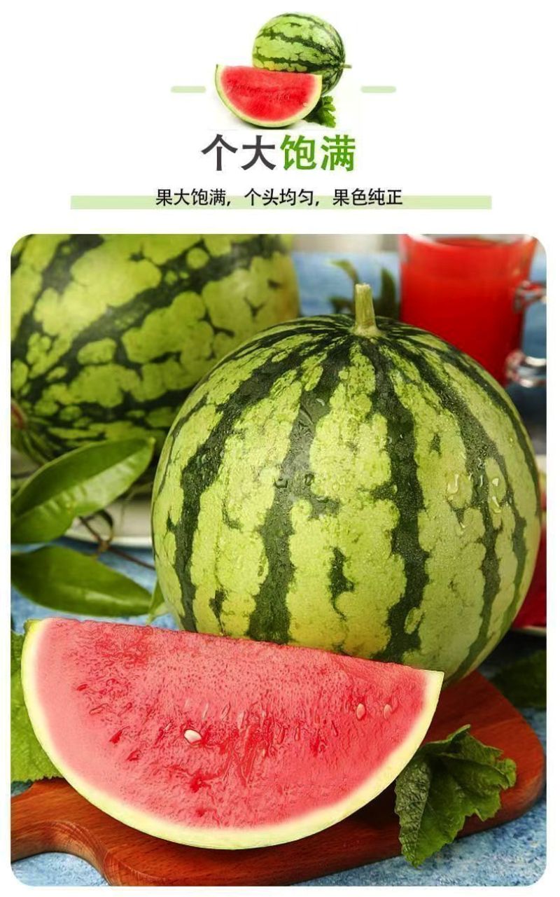 湖北老品种西瓜新鲜夏天水果现摘脆甜多汁鲜果整个石头瓜麒麟