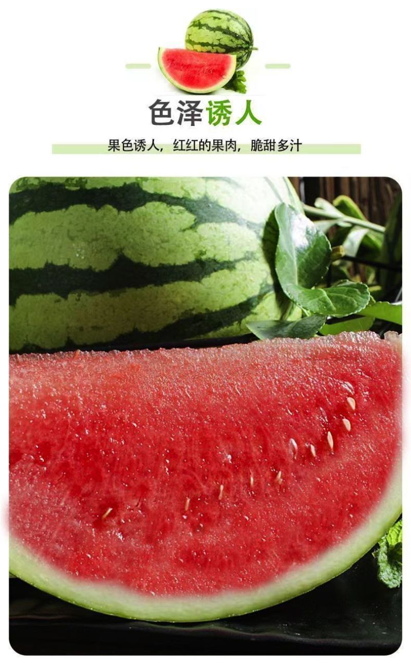 湖北老品种西瓜新鲜夏天水果现摘脆甜多汁鲜果整个石头瓜麒麟