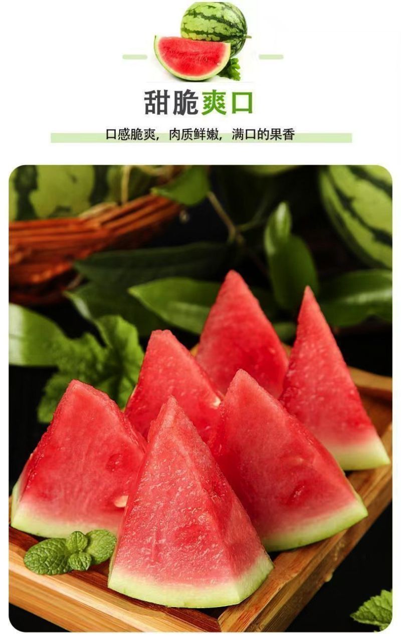 湖北老品种西瓜新鲜夏天水果现摘脆甜多汁鲜果整个石头瓜麒麟