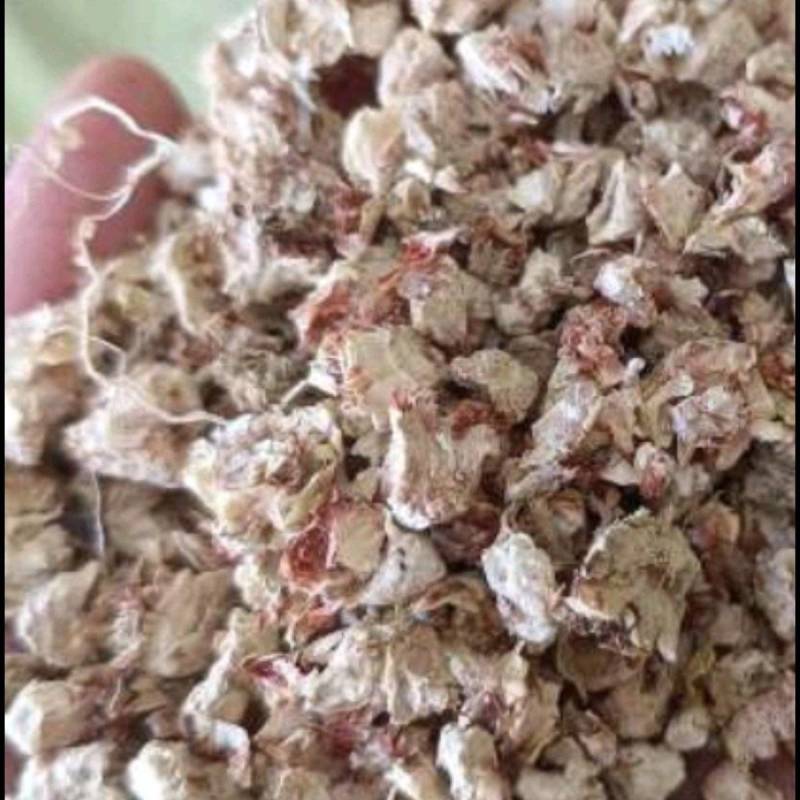 玉米芯