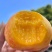 油蟠桃，支持一件代发，美团团购，多多买菜