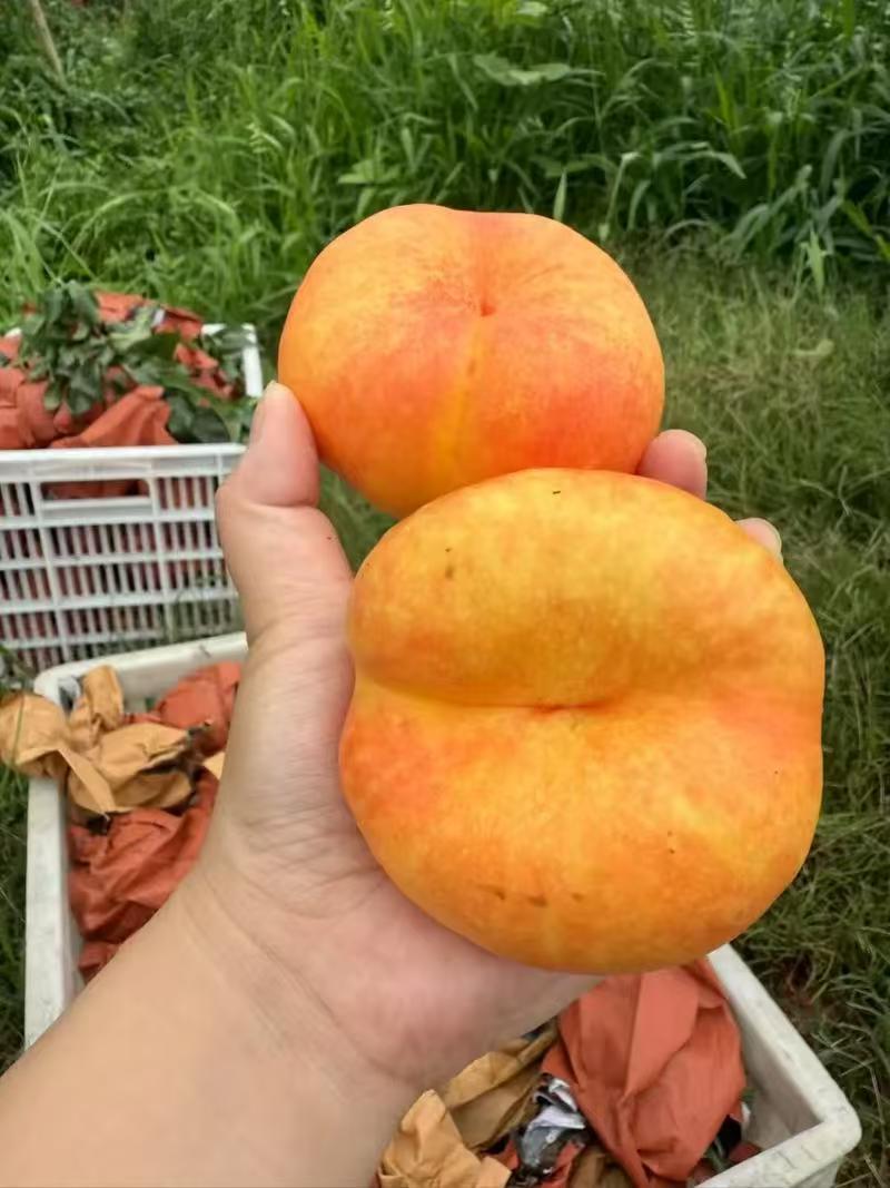 油蟠桃，支持一件代发，美团团购，多多买菜