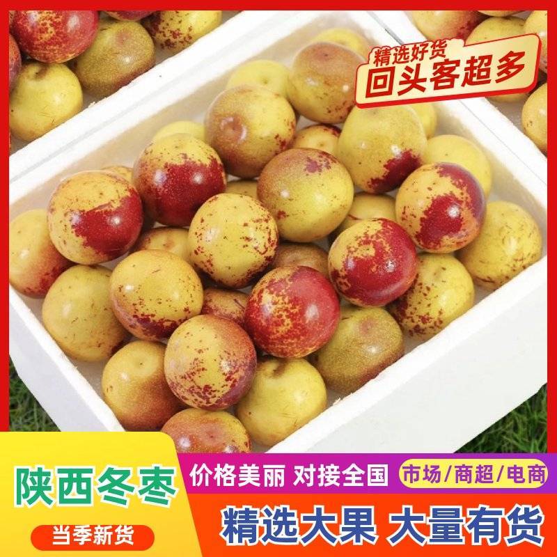 【精选】冬枣陕西大荔直发保质保量供货对接全国