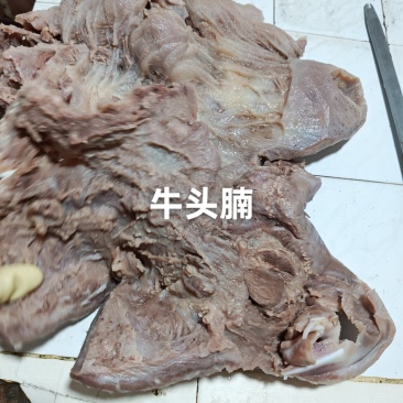 飞水牛头腩