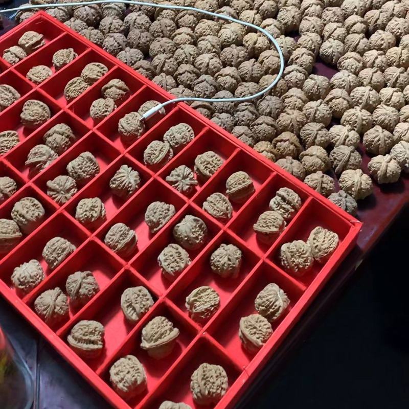 白狮子现货600多对，精品陆续出对入库中，支持批量拿货