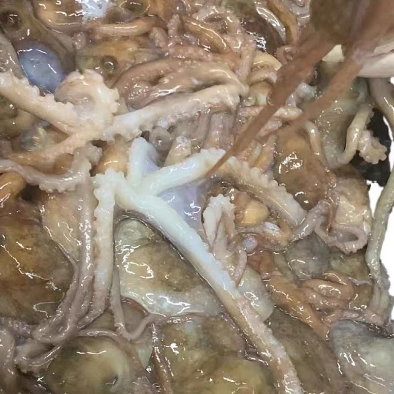 爆头八爪鱼海鲜章鱼新鲜大长腿八抓鱼鲜活八带鱼深海批发冰鲜新鲜