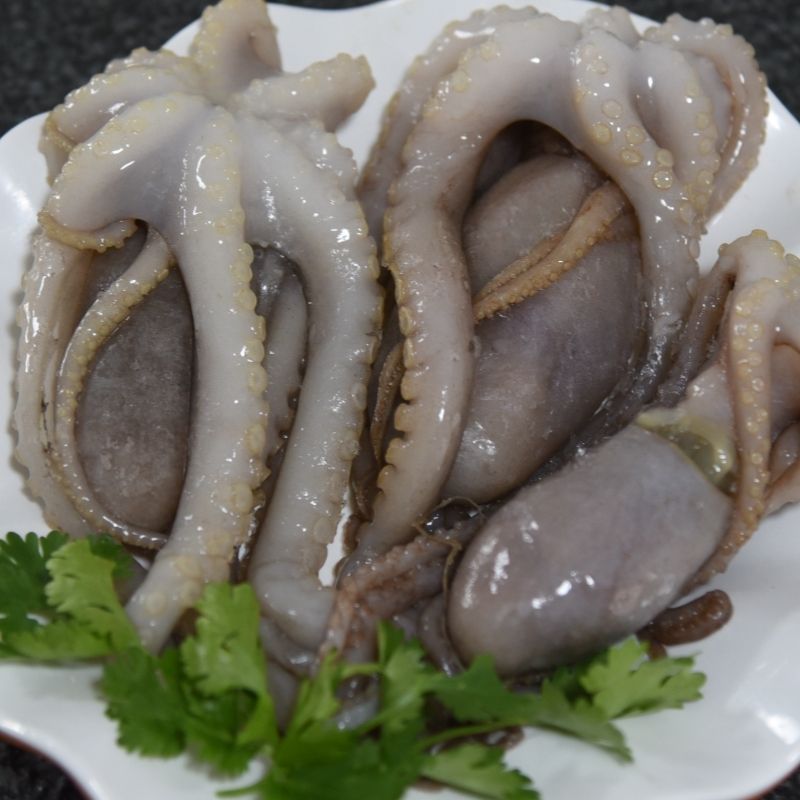 爆头八爪鱼海鲜章鱼新鲜大长腿八抓鱼鲜活八带鱼深海批发冰鲜新鲜
