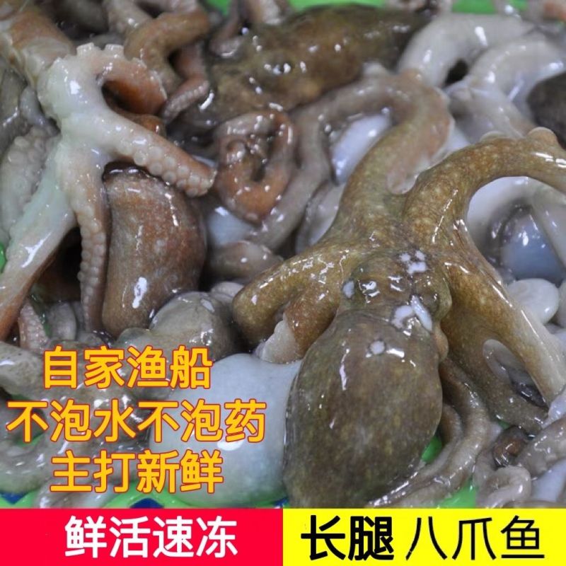 爆头八爪鱼海鲜章鱼新鲜大长腿八抓鱼鲜活八带鱼深海批发冰鲜新鲜