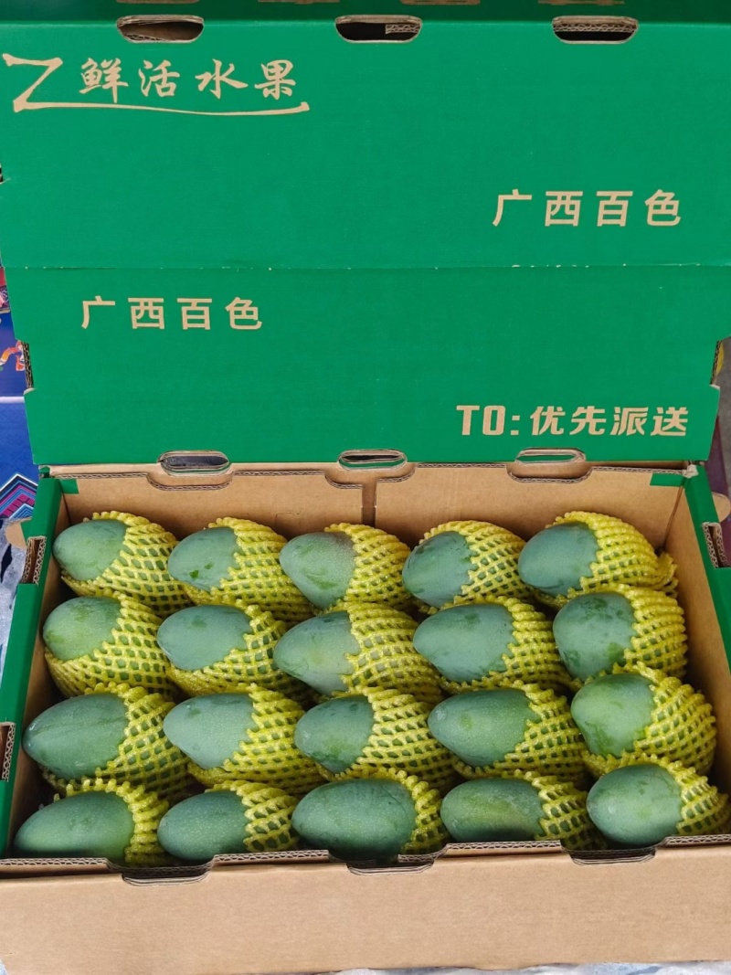 广西百色芒果之乡地标性大台农芒果，贵七芒果