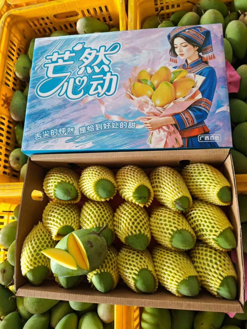 广西百色芒果之乡地标性大台农芒果，贵七芒果