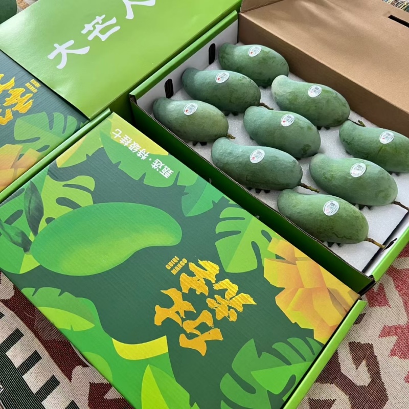 广西百色芒果之乡地标性大台农芒果，贵七芒果