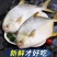 冰鲜金鲳鱼新鲜海鱼鲳鱼深海昌鱼金昌鱼活鱼鲜批发无冰衣服养殖现
