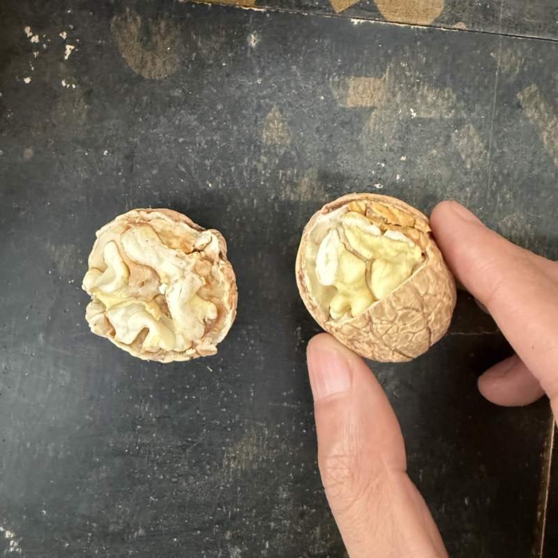 脱皮青皮去皮湿核桃（电商一件代发）