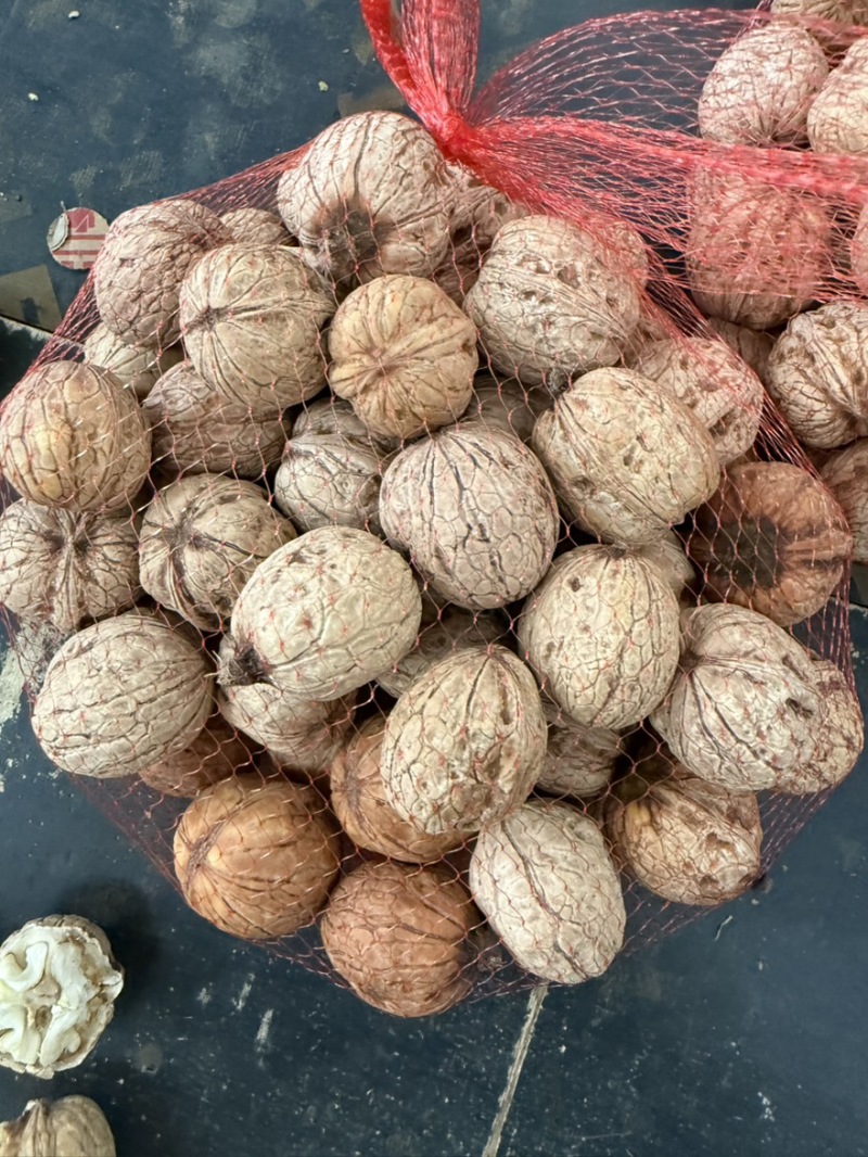 脱皮青皮去皮湿核桃（电商一件代发）
