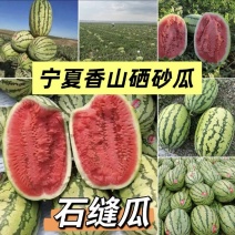 宁夏硒砂瓜大量开园上市产地直供量大优惠全国发货