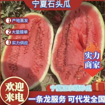 宁夏硒砂瓜上市产地直供个头大皮毛靓糖度高全国发货