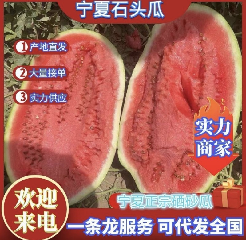 宁夏硒砂瓜上市产地直供个头大皮毛靓糖度高全国发货