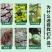 微生物菌剂养根护根爆根疏松土壤复配菌效果好