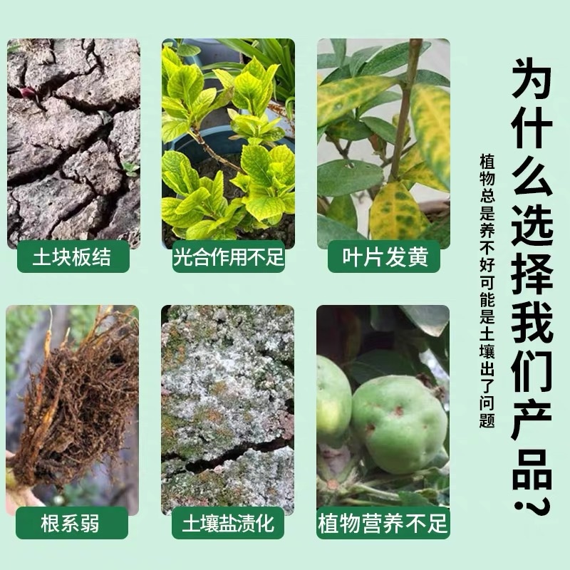 微生物菌剂养根护根爆根疏松土壤复配菌效果好