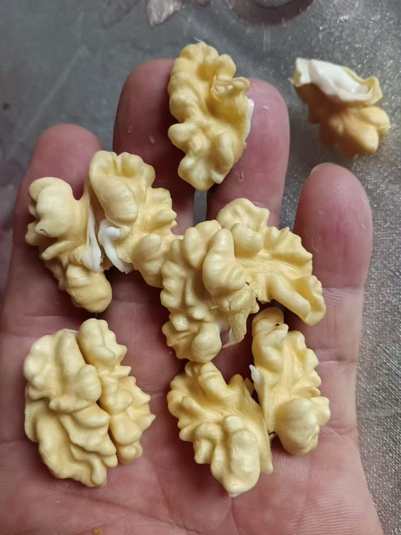 批发青皮核桃，去皮鲜核桃。