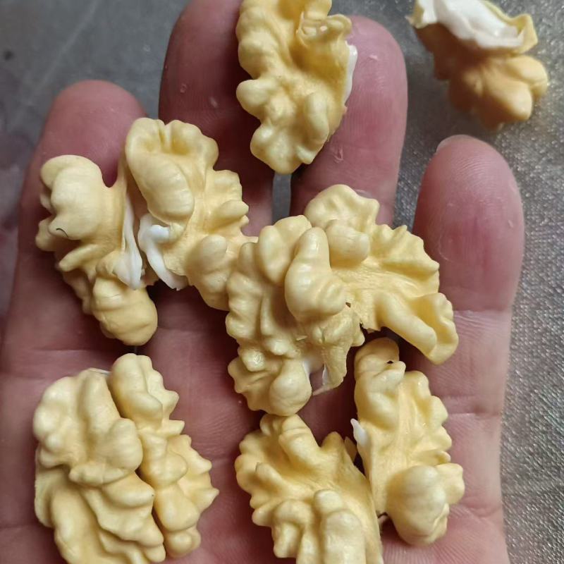 批发青皮核桃，去皮鲜核桃。