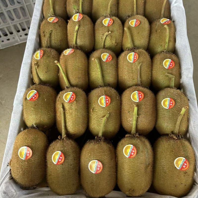 华美二号西峡县