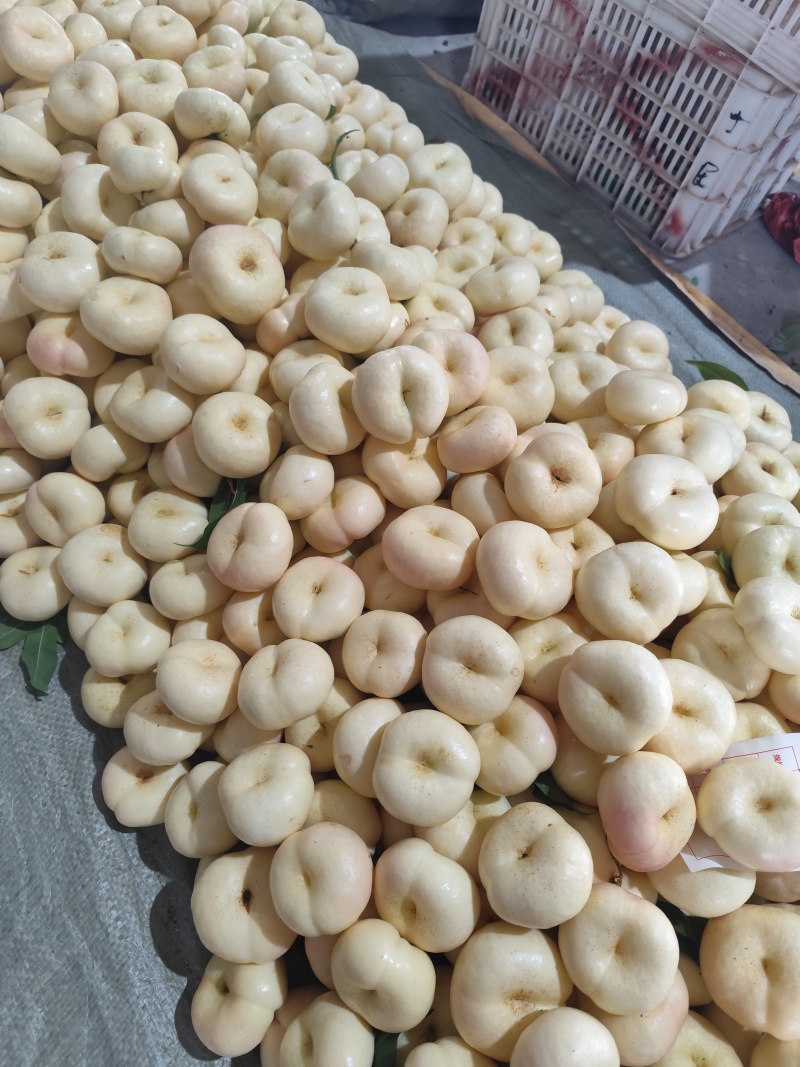 蒙阴蜜桃