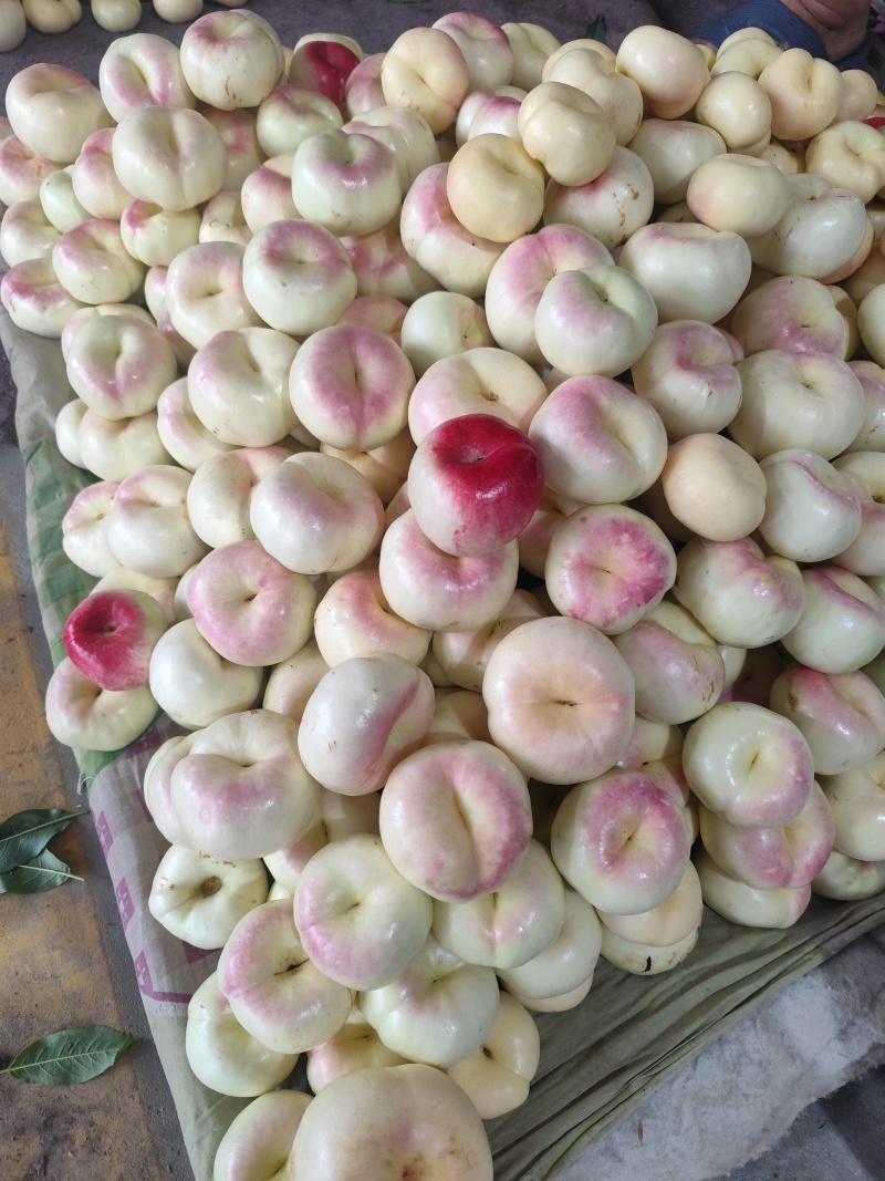 蒙阴蜜桃