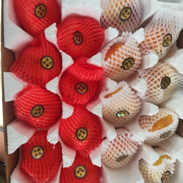 蒙阴蜜桃