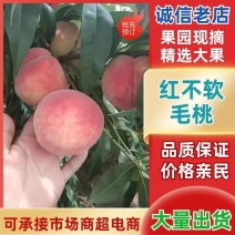 晚熟红不软，715，啊不白，各种硬质毛桃大量上市。