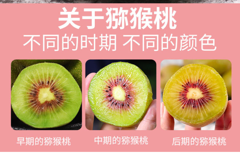 产地供应链一件代发四川蒲江红心猕猴桃奇异果对接电商平台