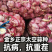 金乡正宗太空蒜种产地直供包装可选全国发货