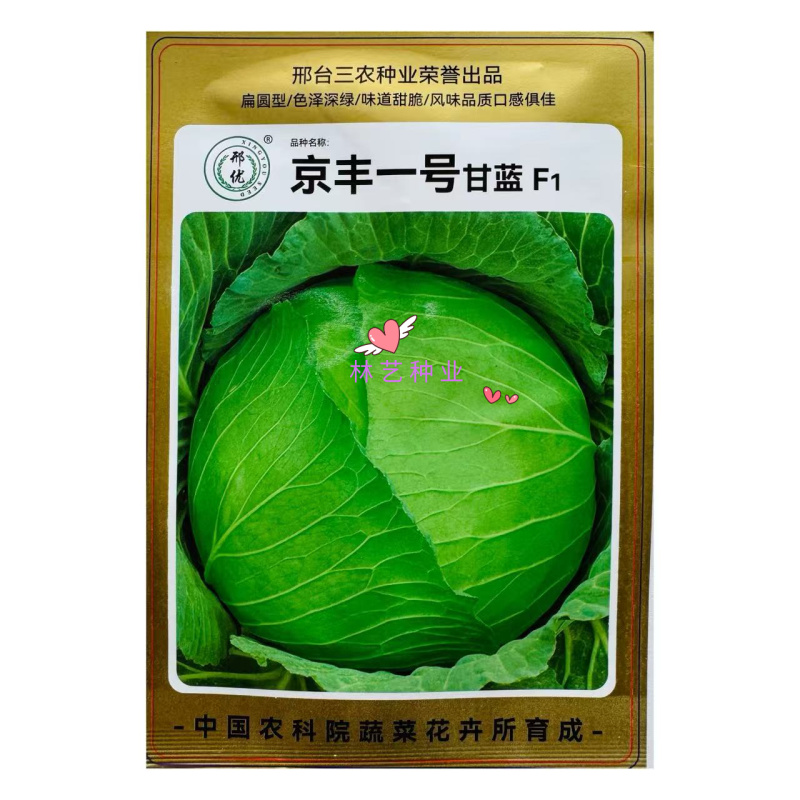 京丰一号甘蓝种子易种植好打理脆嫩包心菜种子春秋季蔬菜