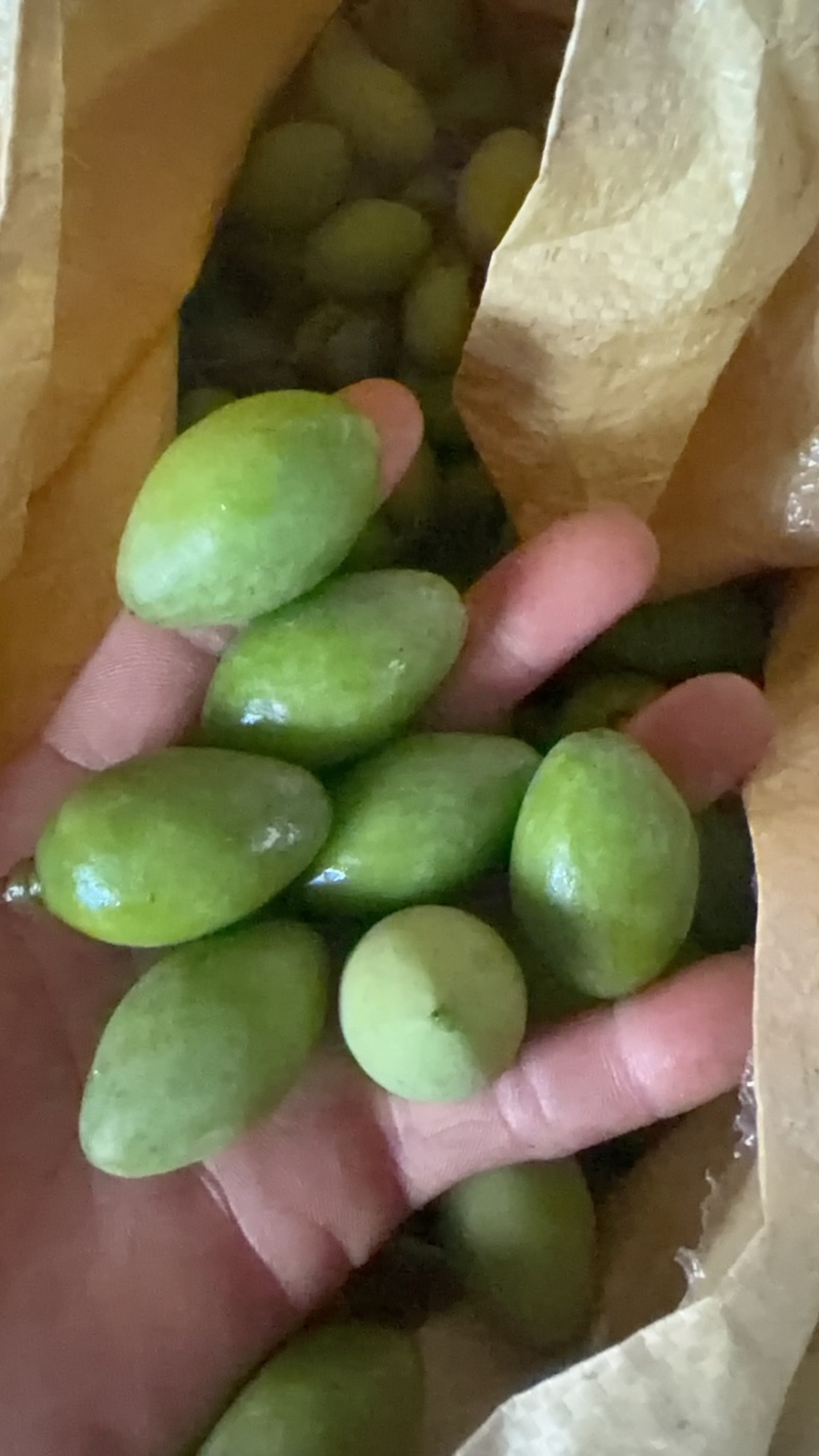潮汕油甘果