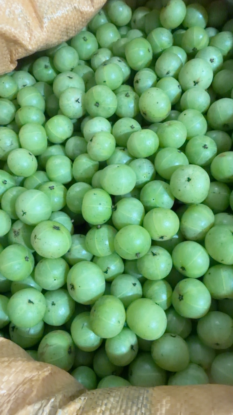 潮汕油甘果