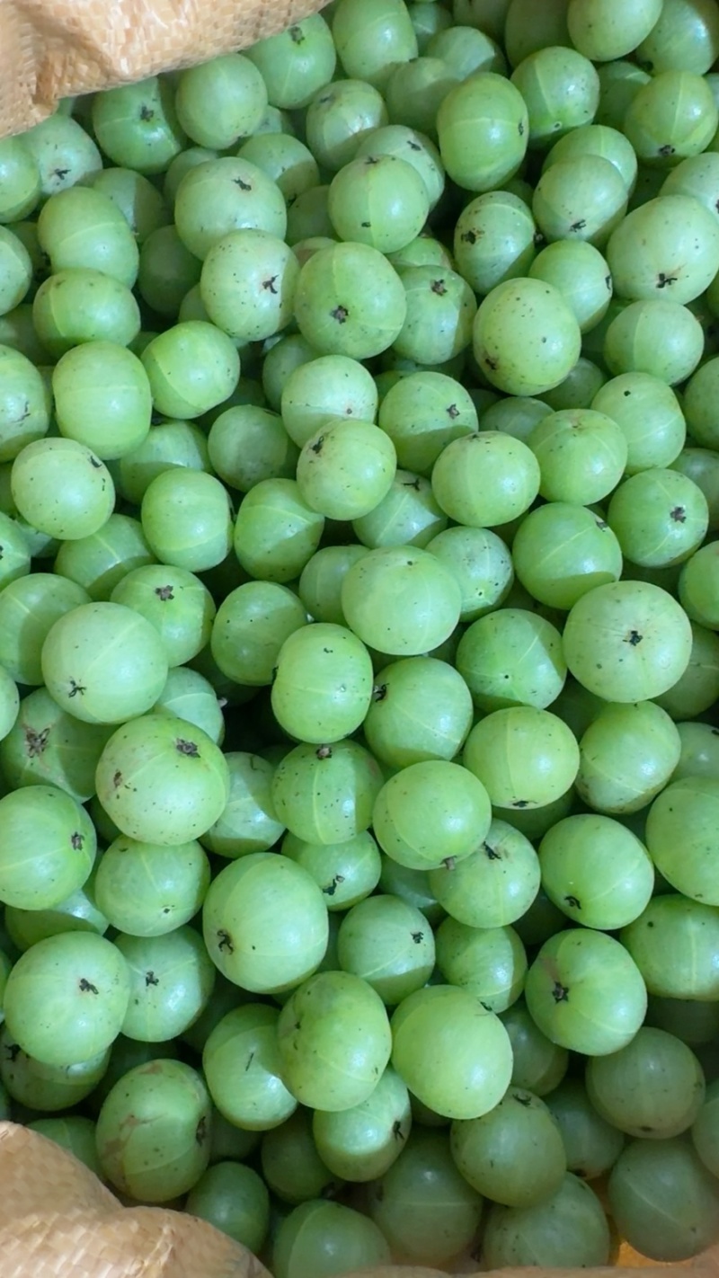 潮汕油甘果