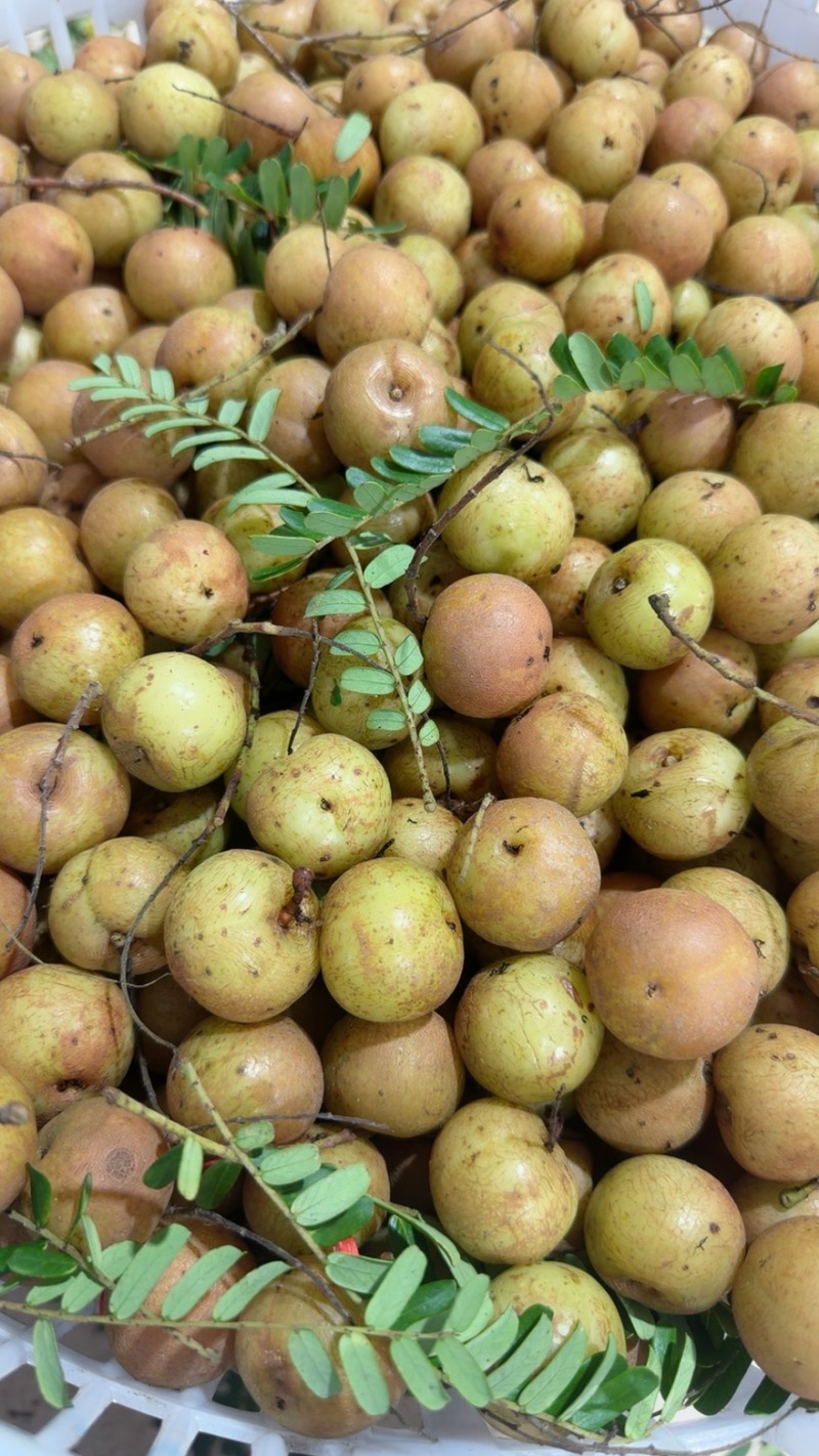 潮汕油甘果