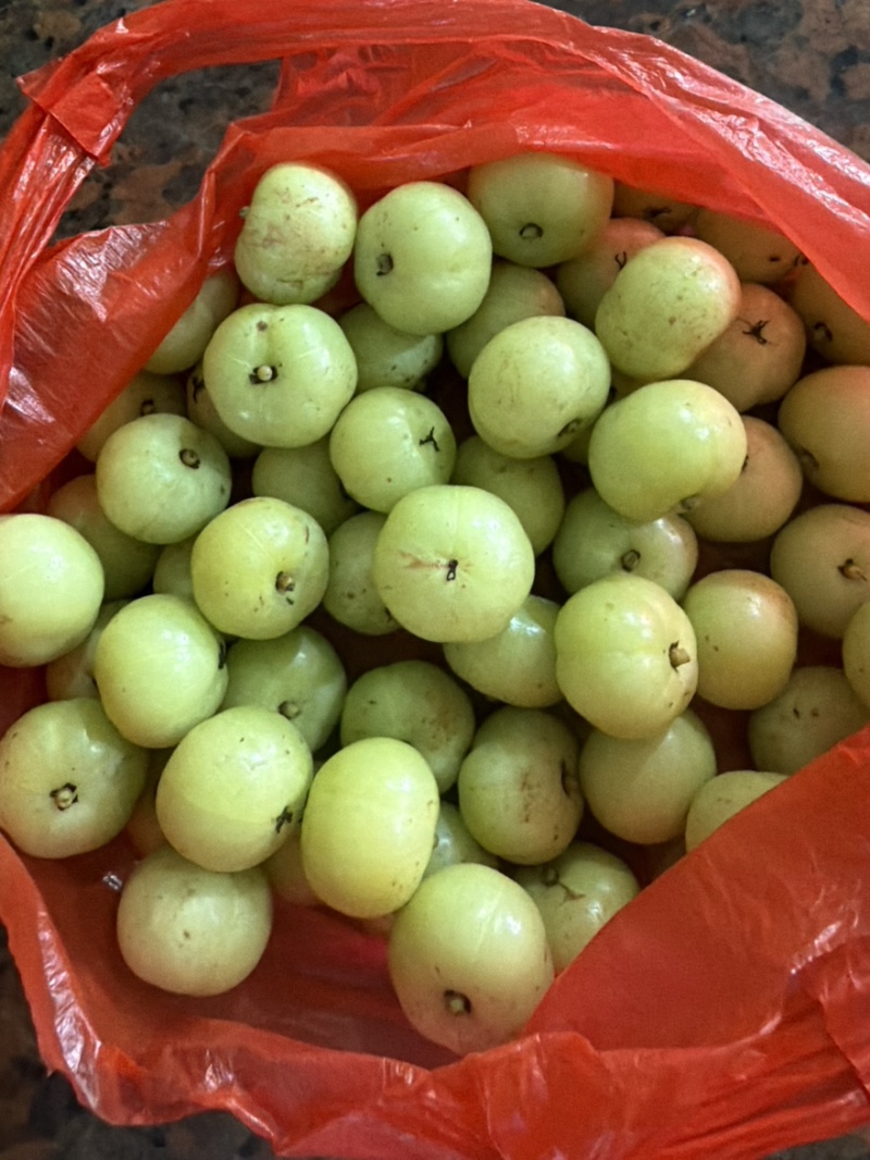 潮汕油甘果