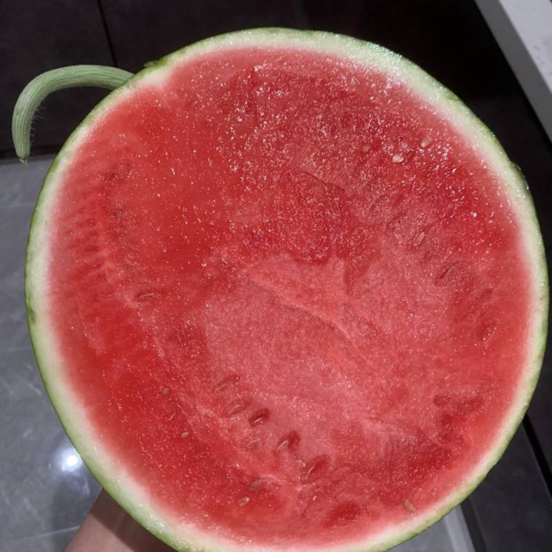 湖北宜城黑皮无籽西瓜产地直发新鲜采摘皮薄瓤甜多汁长期供货