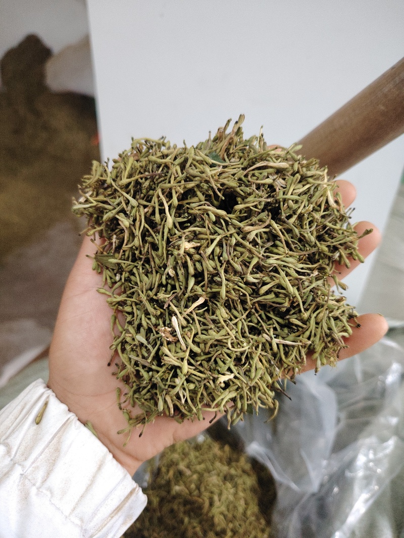 贵州安龙，金银花无硫无霉，质量保证产地直销大量供应