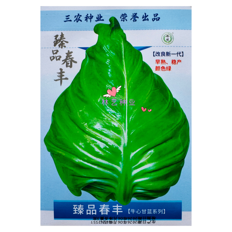 **春丰牛心尖包甘蓝种子一代杂交不裂球四季耐寒甜脆