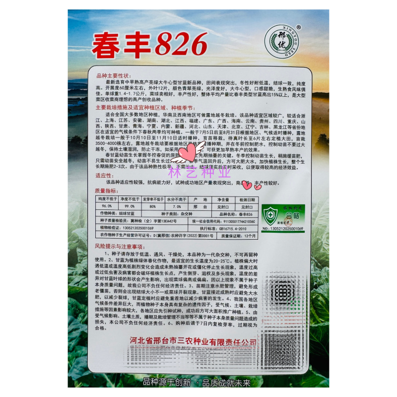 春丰826高产大牛心甘蓝种子冬性好耐低温口感甜脆抗病好