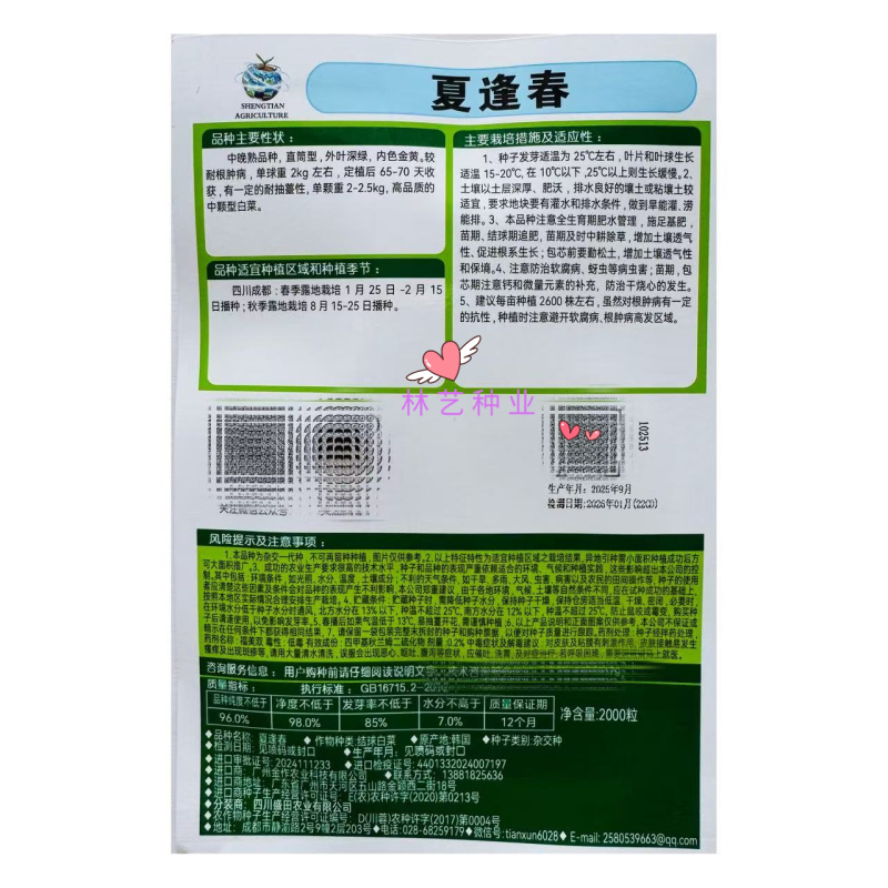 夏逢春大白菜种子中晚熟直筒型抗根肿病耐抽苔适应性广中棵型